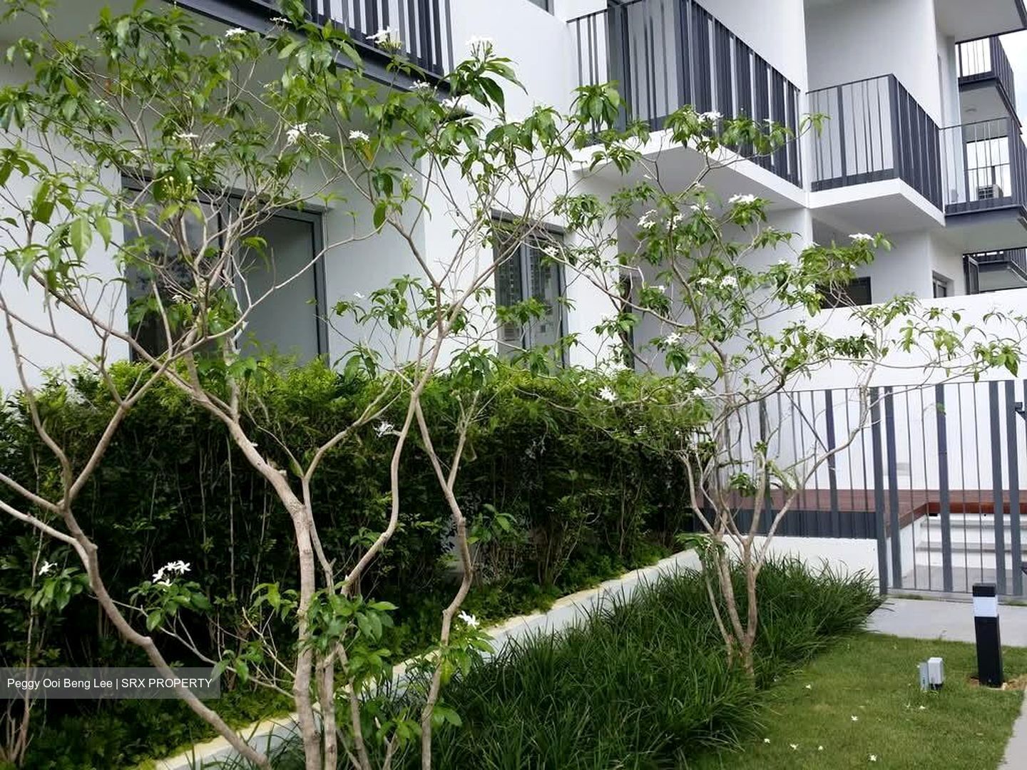 Okio (D12), Apartment #577079981